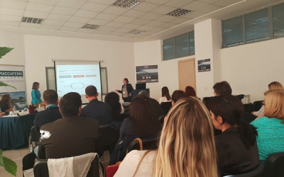 BRIGAID at the International Conference of Civil Engineering (ICCE2017) in Albania