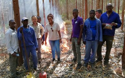 GIFF evaluates the use of prescribed fires in Mozambique